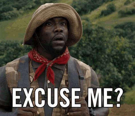 excuses gif|excuse me sir gif.